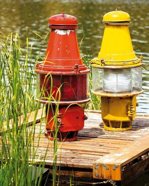 Grass, Yellow, Fluid, Liquid, Amber, Grass family, Coquelicot, Cylinder, Still life photography, Sedge family, 