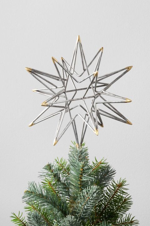 Colorado spruce, oregon pine, White pine, Tree, Christmas tree, Plant, Branch, Woody plant, Holiday ornament, Pine family, 