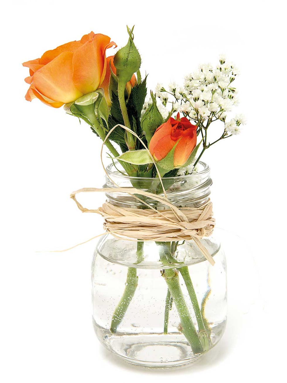 Flower, Cut flowers, Vase, Bouquet, Flowerpot, Plant, Orange, Rose, Floristry, Flower Arranging, 