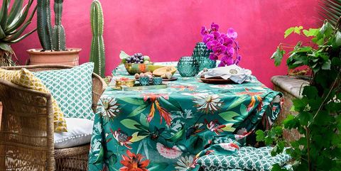 Cactus, Green, Tablecloth, Table, Pink, Turquoise, Houseplant, Room, Furniture, Botany, 