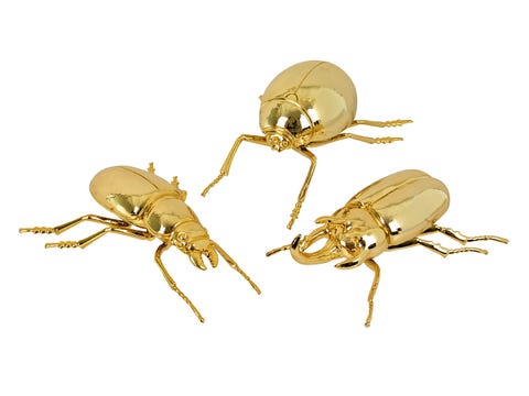 Invertebrate, Organism, Arthropod, Insect, Pest, Amber, Beige, Tan, Bronze, Parasite, 