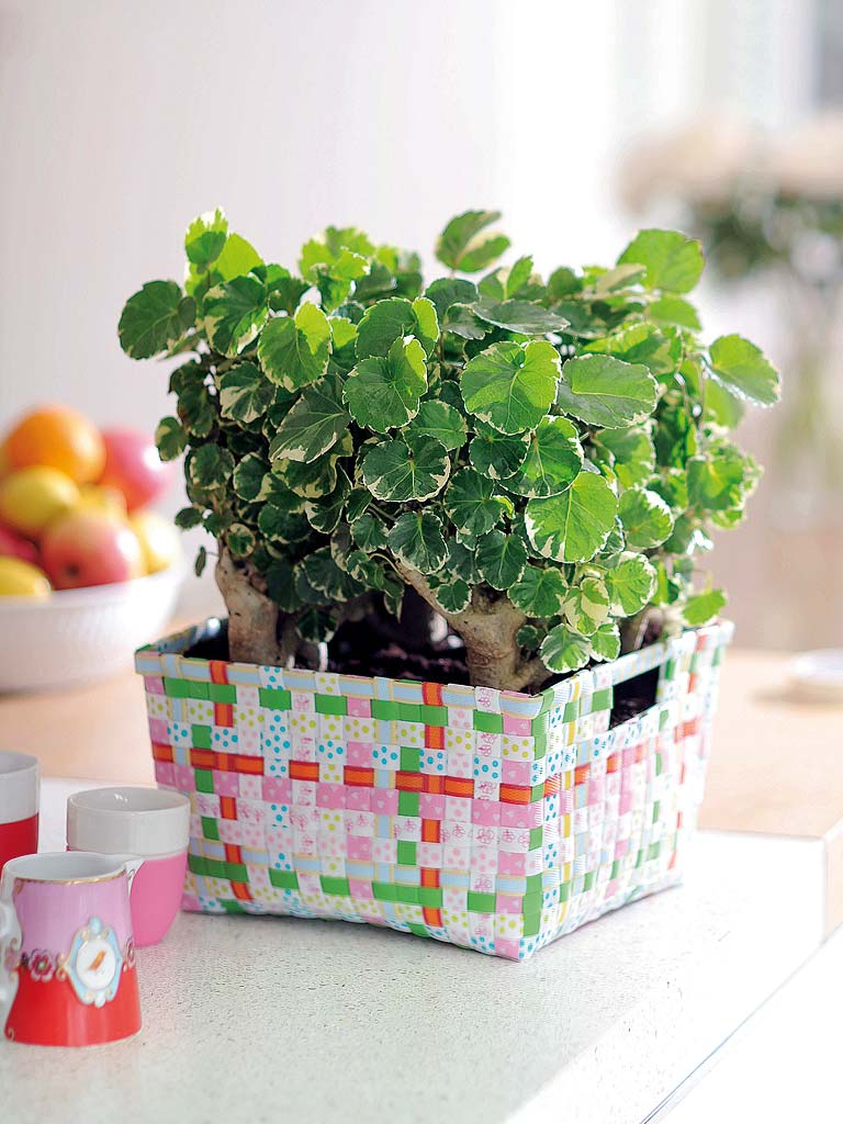 Flowerpot, Houseplant, Plant, Herb, Leaf, Flower, Grass, Basil, Vegetable, Perennial plant, 