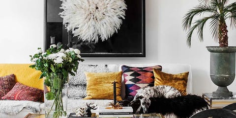 Living room, Furniture, Coffee table, Room, Table, Interior design, Feather, Couch, Wall, studio couch, Living room, Furniture, Coffee table, Room, Table, Interior design, Feather, Couch, Wall, studio couch,