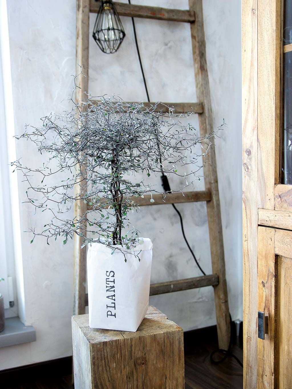 Wood, Branch, Twig, Flowerpot, Fixture, Iron, Hardwood, Light fixture, Wood stain, Still life photography, 