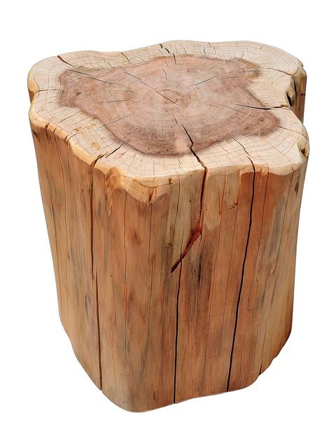 Wood, Tree stump, Stool, Tree, Trunk, Table, Furniture, Hardwood, 