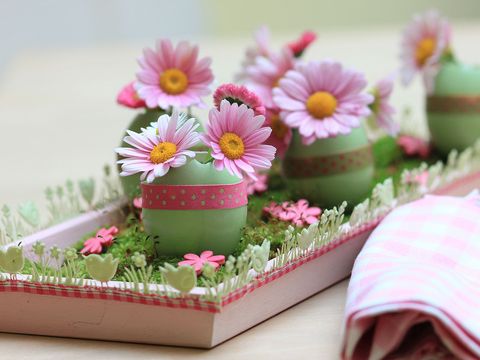 Flowerpot, Pink, Flower, Plant, Daisy, Petal, Spring, Floral design, Cake decorating, Daisy, 