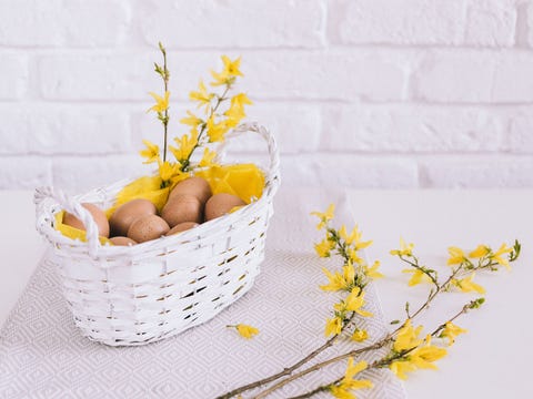 Yellow, Twig, Branch, Cut flowers, Flower, Basket, Plant, Table, Forsythia, Storage basket, 