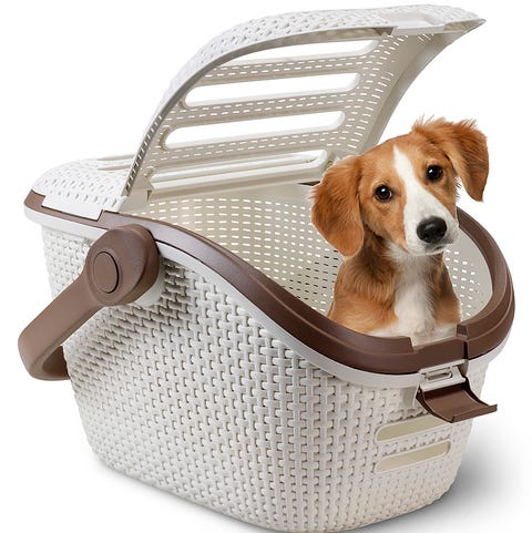 Trasportín para perros Trasportín para perros