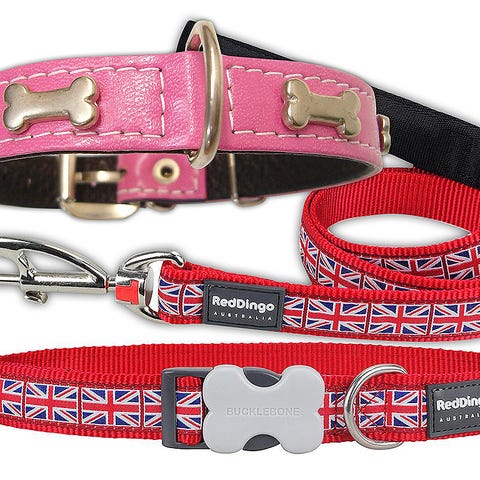 Collares para perro Collares para perro
