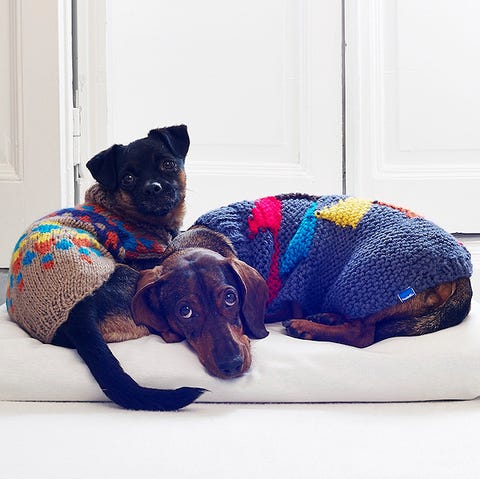 Abrigos para perros Abrigos para perros