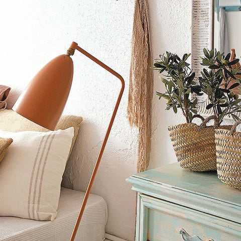 Room, Interior design, Tan, Interior design, Flowerpot, Houseplant, Home accessories, Throw pillow, Still life photography, Pillow, 