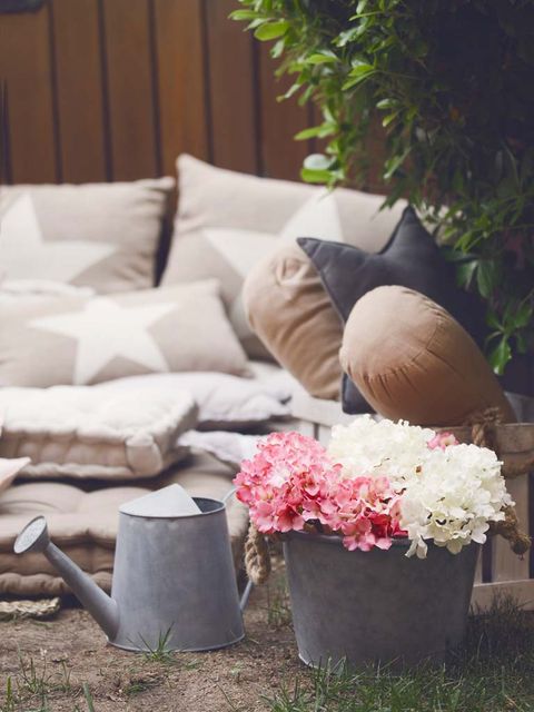 Flower, Petal, Interior design, Couch, Living room, Home, Cut flowers, Coffee cup, Throw pillow, Cup, 