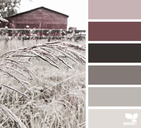 Colorfulness, Grass family, Roof, Monochrome photography, Rural area, Plantation, Herbaceous plant, Perennial plant, Screenshot, Subshrub, 