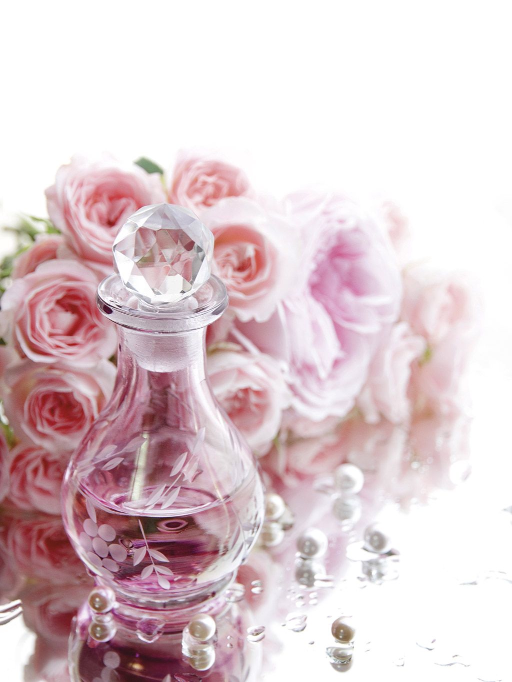 Pink, Flower, Rose, Petal, Still life, Still life photography, Garden roses, Plant, Peony, Glass, 