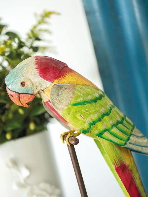 Parrot, Blue, Green, Colorfulness, Bird, Vertebrate, Wing, Adaptation, Terrestrial animal, Carmine, 