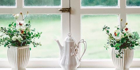 Window, Green, Aqua, Window treatment, Room, Interior design, Flowerpot, Plant, Curtain, Tile, 
