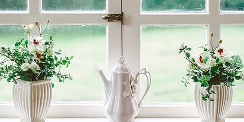 Window, Green, Aqua, Window treatment, Room, Interior design, Flowerpot, Plant, Curtain, Tile, Window, Green, Aqua, Window treatment, Room, Interior design, Flowerpot, Plant, Curtain, Tile,