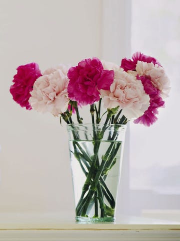 ramo de claveles rosas
