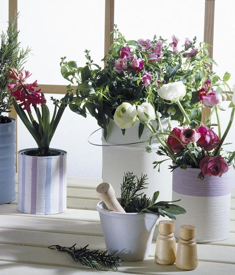 Flower, Flowerpot, Plant, Houseplant, Cut flowers, Pink, Floristry, Vase, Flowering plant, Room, 
