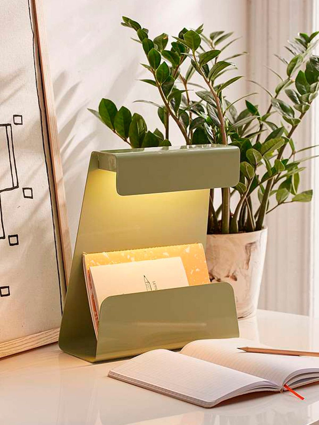 Houseplant, Flowerpot, Plant, Botany, Room, Furniture, Table, Flower, Interior design, Desk, 
