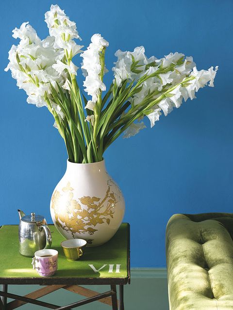 Blue, Flower, Bouquet, Artifact, Still life photography, Interior design, Cut flowers, Vase, Majorelle blue, Flowering plant, 