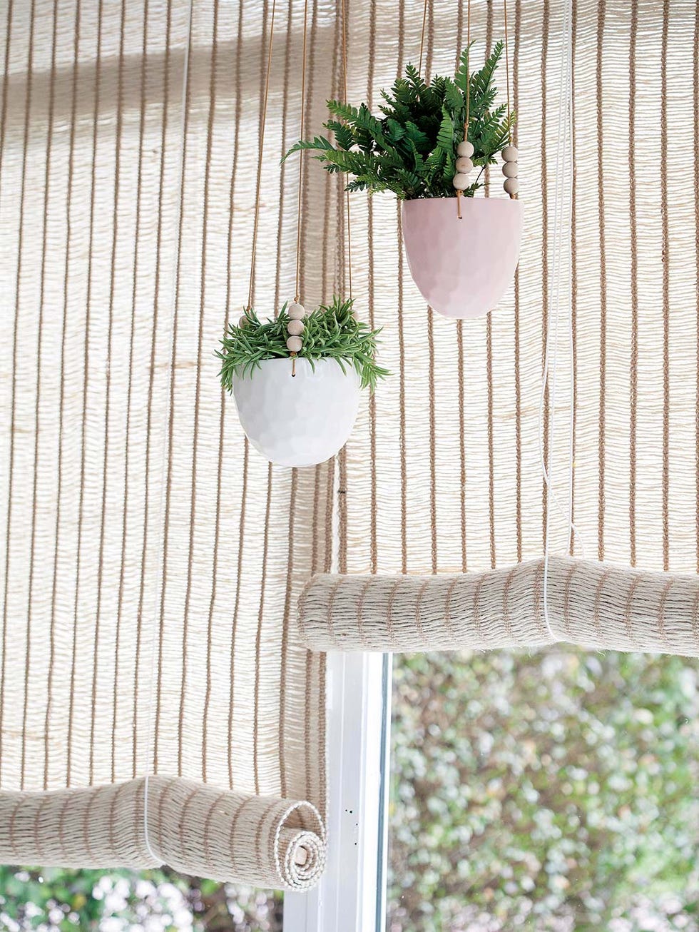 Curtain, Window treatment, Interior design, Textile, Window covering, Window, Plant, Room, Flowerpot, Herb, 