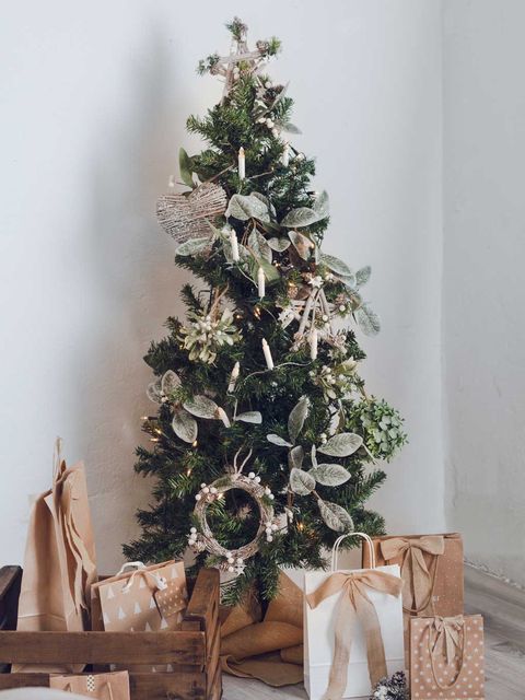 Christmas tree, Christmas decoration, Tree, Plant, Christmas, Houseplant, Interior design, Flower, Room, Twig, 