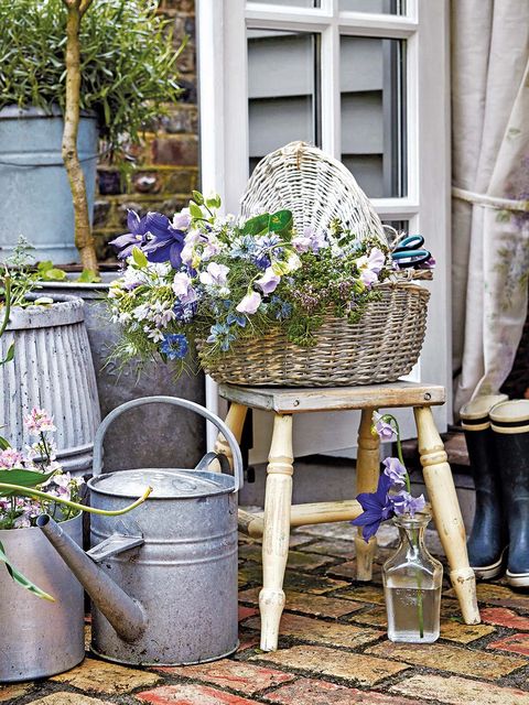 Flower, Jeans, Flowerpot, Outdoor furniture, Outdoor table, Garden, Shrub, Curtain, Backyard, Wicker, 