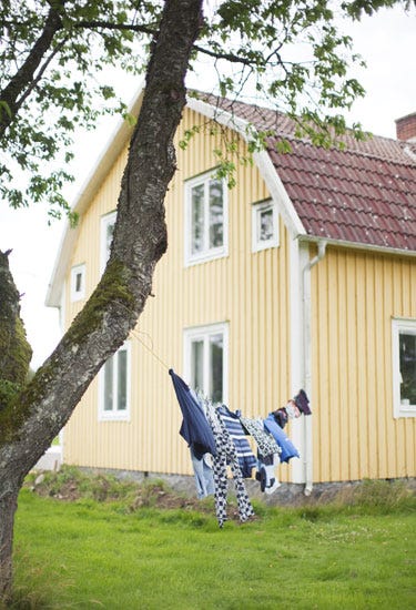 Tree, Property, House, Home, Cottage, Woody plant, Yard, Plant, Real estate, Backyard, 
