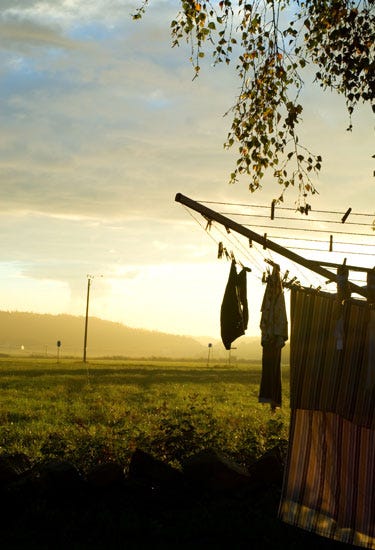 Sky, Morning, Cloud, Tree, Field, Atmosphere, Rural area, Photography, Grass, Sunset, 