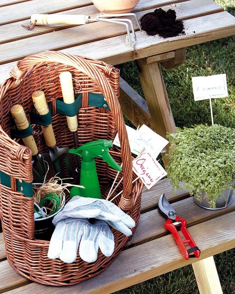 Ingredient, Herb, Basket, Wicker, Fines herbes, Storage basket, Natural material, Home accessories, 