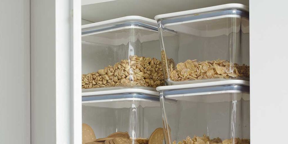 Shelf, Shelving, Pantry, Furniture, Food storage containers, Food storage, Spice rack, Room, Home accessories, Cupboard, 