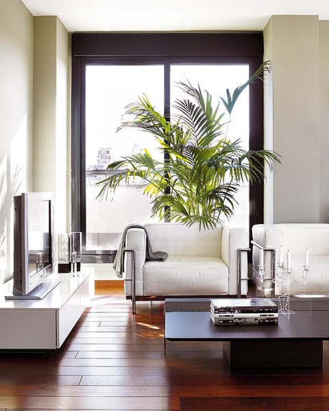 Interior design, Room, Wood, Floor, Wall, Living room, Couch, Furniture, Interior design, Flooring, 