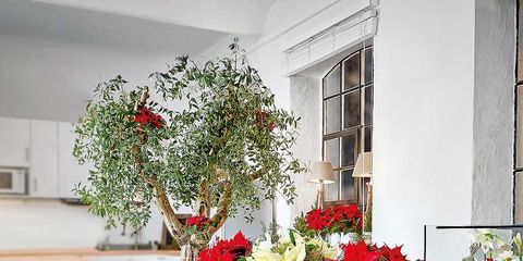 Interior design, Flower, Interior design, Flower Arranging, Floristry, Bouquet, Cut flowers, Centrepiece, Artifact, Vase, 