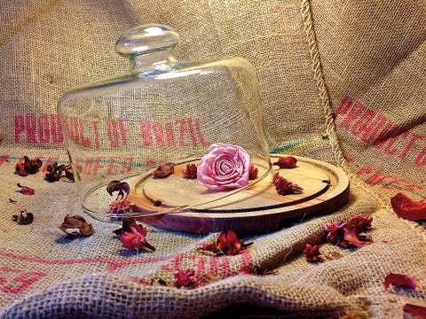 Textile, Bottle, Creative arts, Linens, Home accessories, Craft, Artificial flower, Costume accessory, Rose, Rose family, 