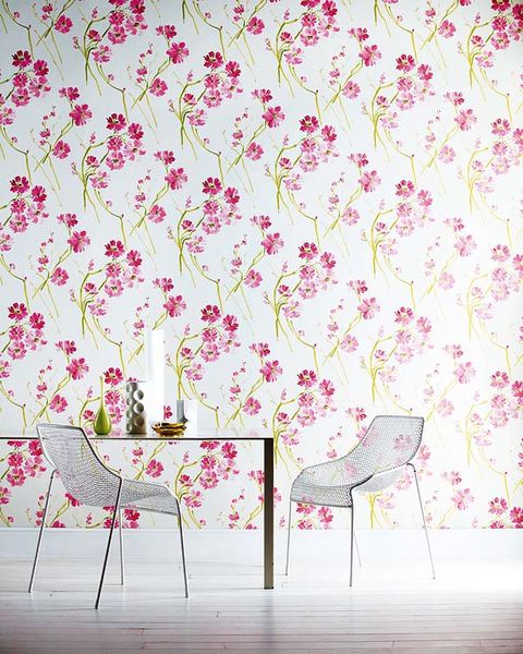 Pink, Pattern, Purple, Magenta, Creative arts, Wallpaper, Pedicel, Floral design, Peach, Wall sticker, 