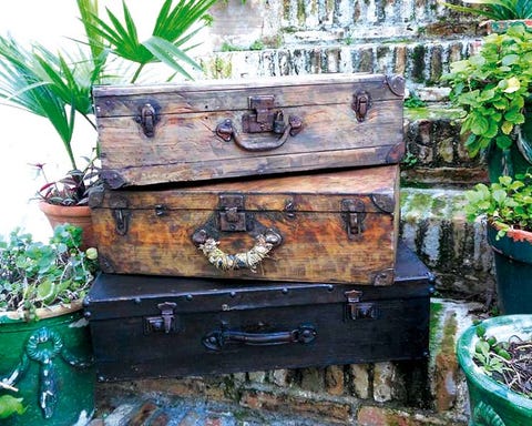 Flowerpot, Houseplant, Baggage, Wood stain, Trunk, Herb, Water feature, Antique, Box, 
