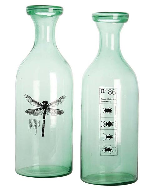 Product, Bottle, Invertebrate, Liquid, Glass, White, Line, Aqua, Teal, Arthropod, 