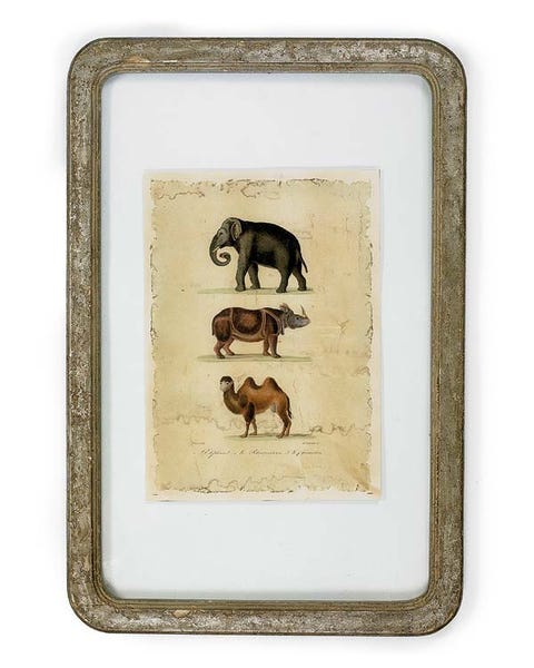 Terrestrial animal, Liver, Rectangle, Deer, Fawn, Wildlife, Antelope, Working animal, Painting, Drawing, 