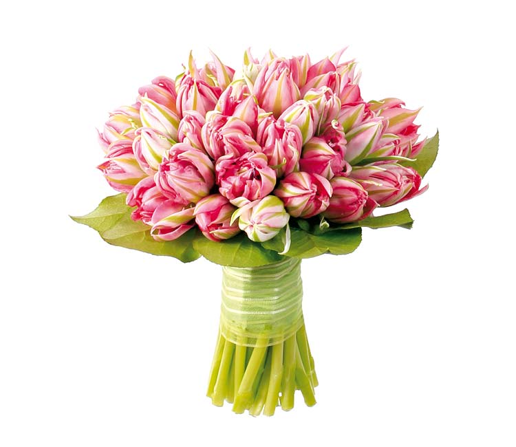 Petal, Flower, Bouquet, Pink, Cut flowers, Flowering plant, Botany, Flower Arranging, Floristry, Artifact, 
