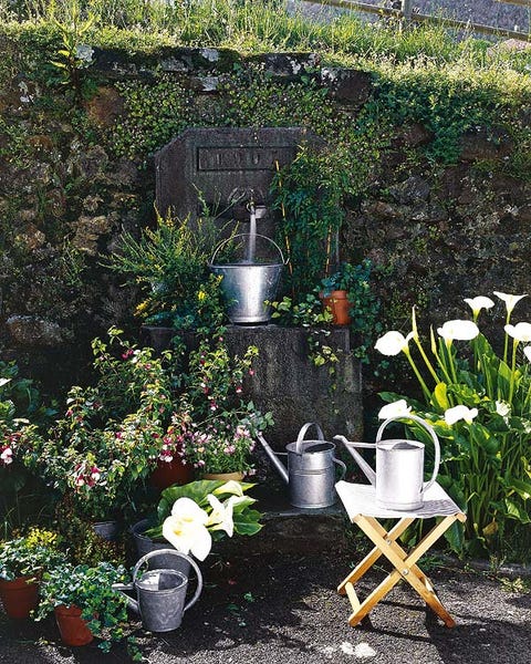 Flowerpot, Shrub, Garden, Groundcover, Serveware, Annual plant, Headstone, Yard, Herbaceous plant, Cemetery, 