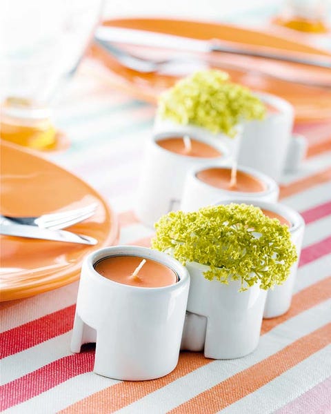 Ingredient, Dishware, Orange, Serveware, Interior design, Drinkware, Peach, Flowerpot, Annual plant, Herb, 