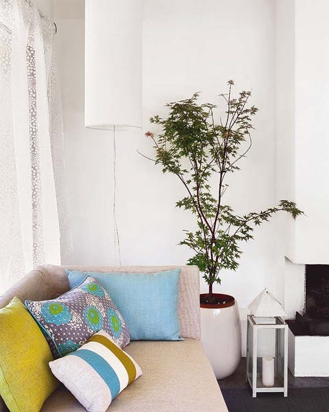 Room, Interior design, Branch, Textile, Wall, Flowerpot, Interior design, Twig, Home, Fixture, 