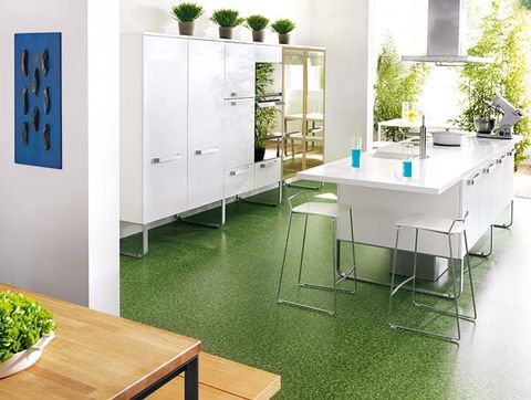 Plant, Green, Interior design, Floor, Flooring, Table, Plumbing fixture, Furniture, Wall, Interior design, 