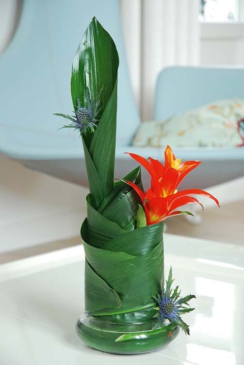Leaf, Flower, Petal, Botany, Flowering plant, Interior design, Terrestrial plant, Vase, Plant stem, Floristry, 