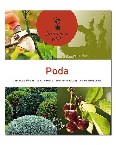Organism, Leaf, Adaptation, Botany, Fruit tree, Shrub, Flowering plant, Produce, Fruit, Coquelicot, 
