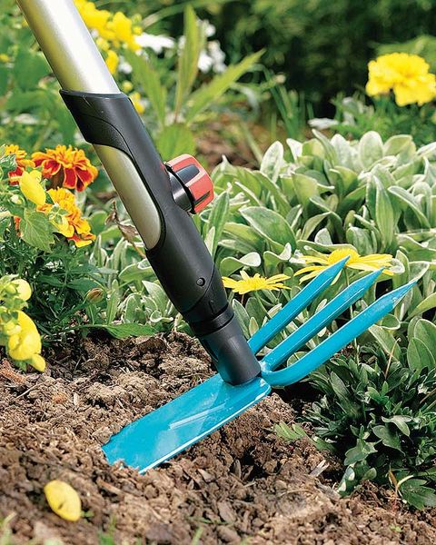 Petal, Flower, Soil, Shrub, Tool, Garden tool, Garden, Hand tool, Wildflower, Herbaceous plant, 