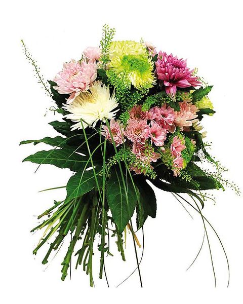 Flower, Petal, Bouquet, Pink, Cut flowers, Flowering plant, Floristry, Botany, Flower Arranging, Floral design, 