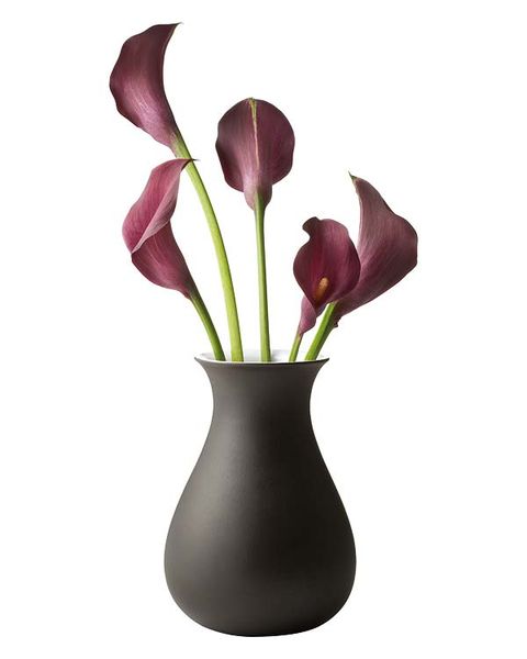 Flower, Botany, Vase, Artifact, Maroon, Flowering plant, Still life photography, Cut flowers, Plant stem, Arum family, 