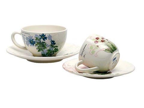 Serveware, Dishware, Cup, Drinkware, Porcelain, Teacup, Tableware, Ceramic, earthenware, Pottery, 